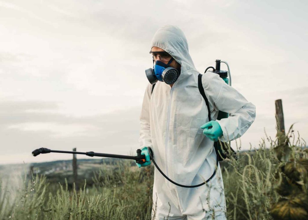 5 Reasons Weed Control Is Key in Farming Success
