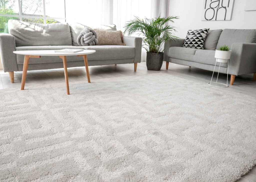 5 Reasons Why Professional Carpet Cleaning Is Worth It